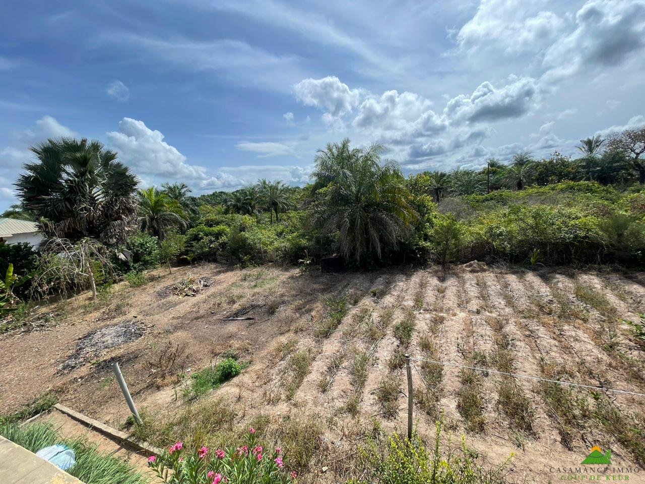 WhatsApp Image 2023-06-14 at 10.40.23 (1)