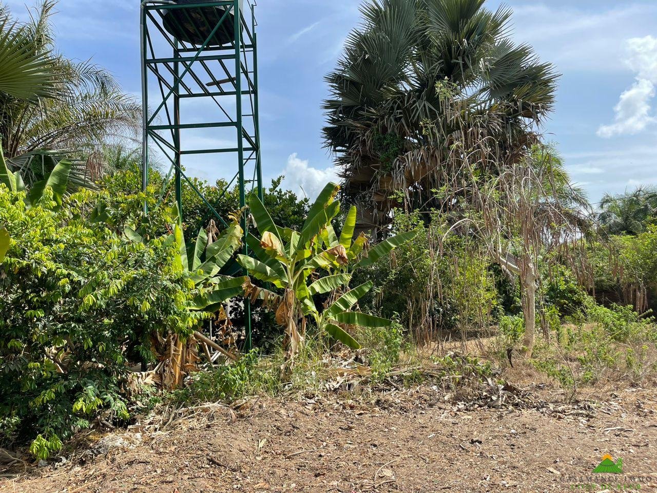 WhatsApp Image 2023-06-14 at 10.40.48 (1)