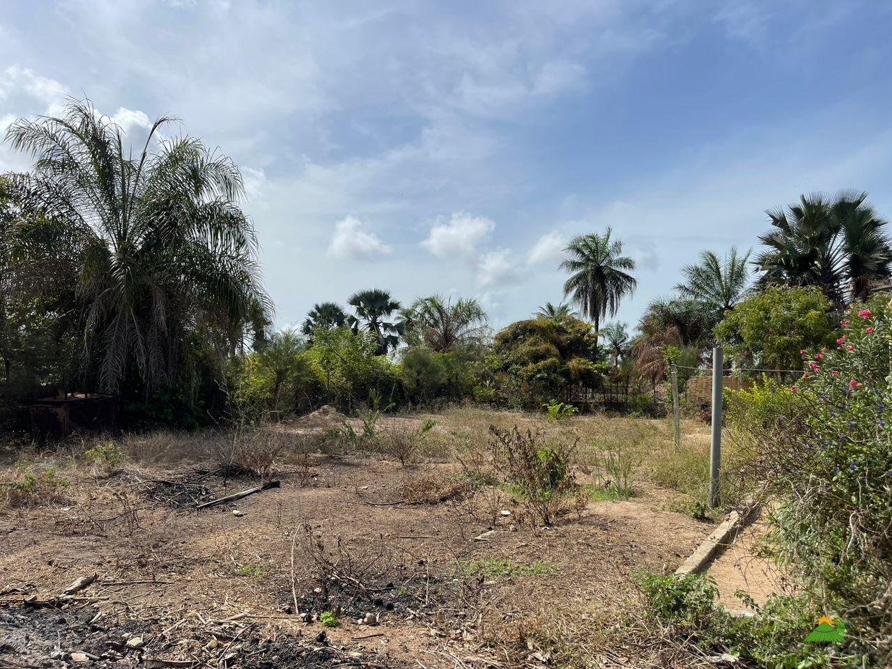 WhatsApp Image 2023-06-14 at 10.40.48