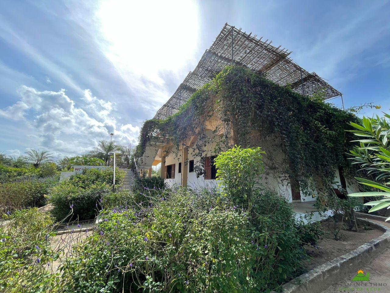 WhatsApp Image 2023-06-14 at 10.40.49 (1)