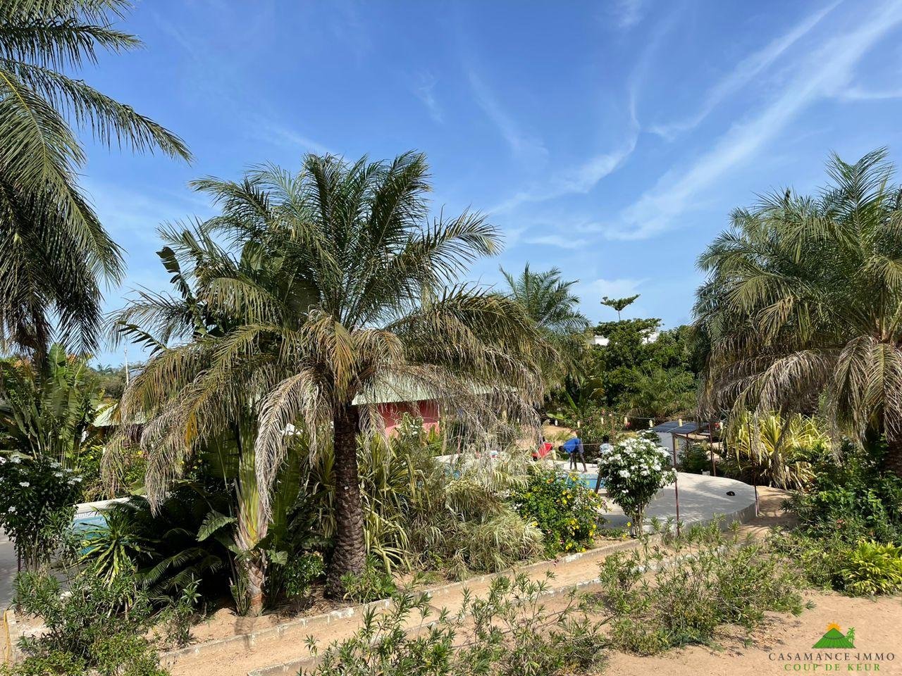 WhatsApp Image 2023-06-14 at 10.40.49