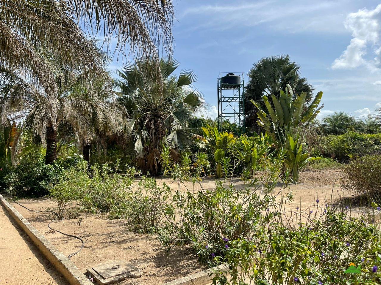 WhatsApp Image 2023-06-14 at 10.40.51 (1)