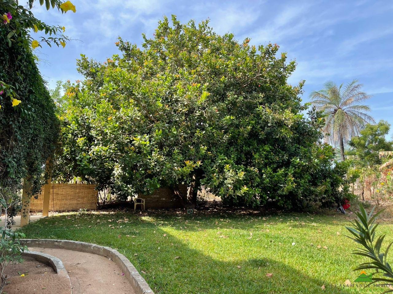 WhatsApp Image 2023-06-14 at 10.40.51