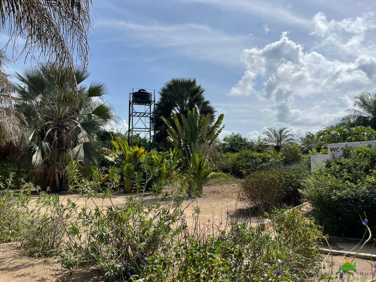 WhatsApp Image 2023-06-14 at 10.40.52 (1)