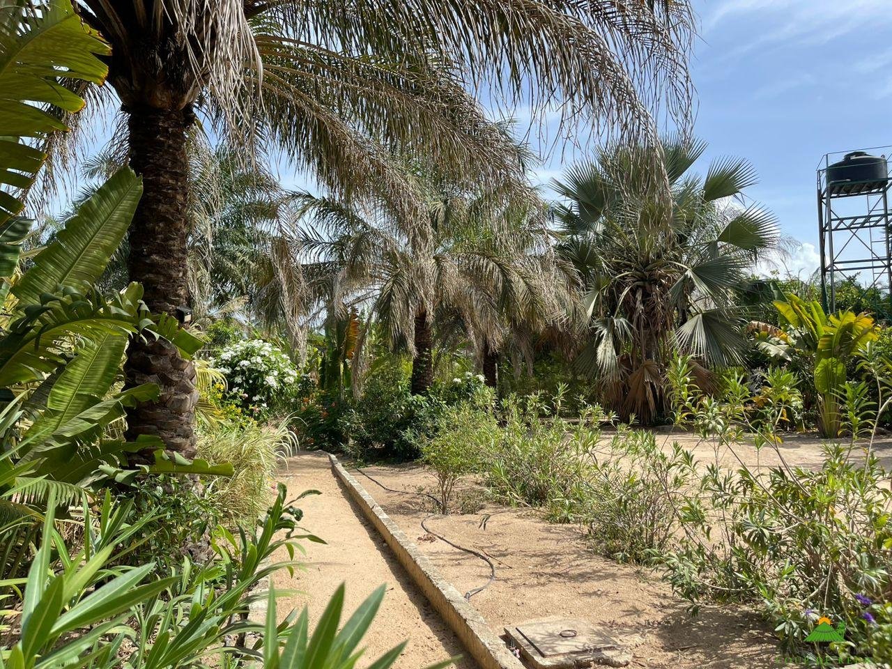 WhatsApp Image 2023-06-14 at 10.40.52