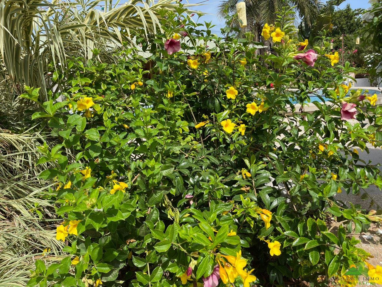 WhatsApp Image 2023-06-14 at 10.40.12 (1)