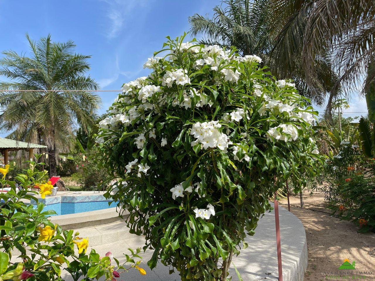 WhatsApp Image 2023-06-14 at 10.40.12