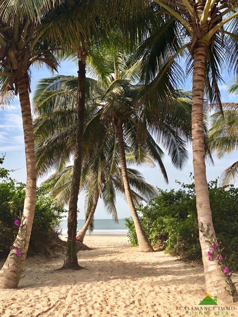 WhatsApp Image 2023-11-09 at 12.25.07