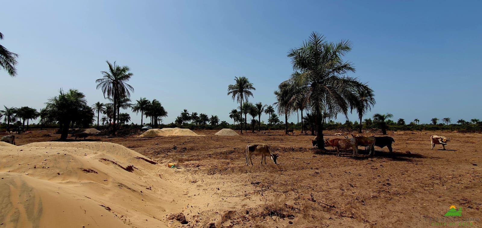 WhatsApp Image 2024-01-15 at 10.26.04