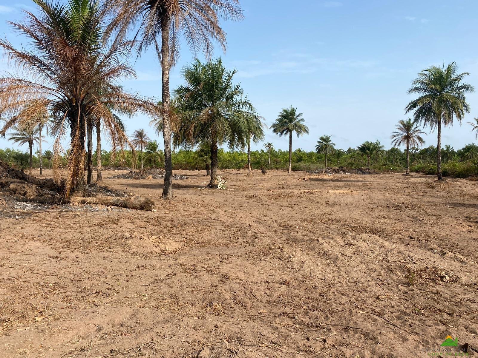 WhatsApp Image 2024-01-15 at 10.26.05 (1)