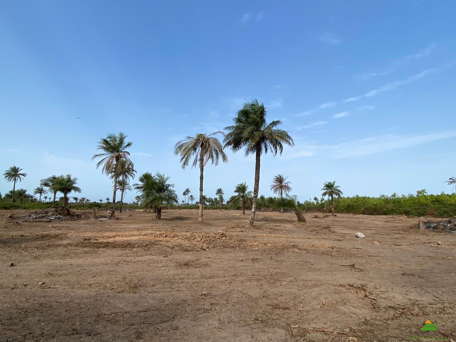 WhatsApp Image 2024-01-15 at 10.26.05