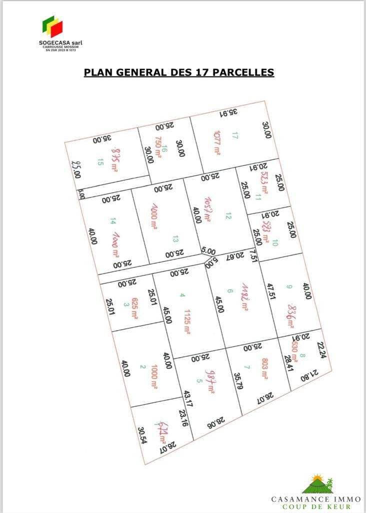 WhatsApp Image 2024-01-16 at 12.20.39