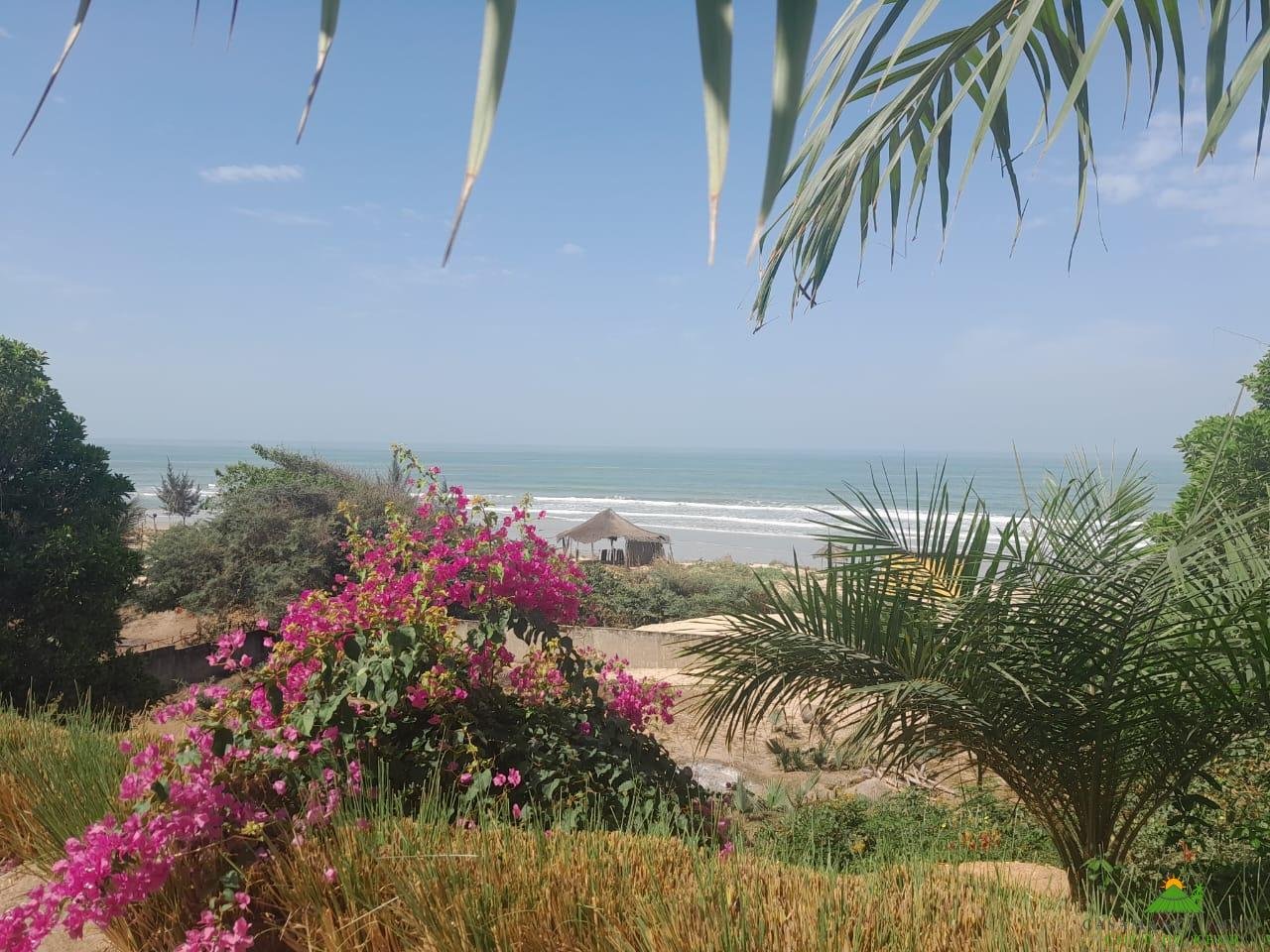 2258e244-8595-4f72-8edb-13322cbe1512