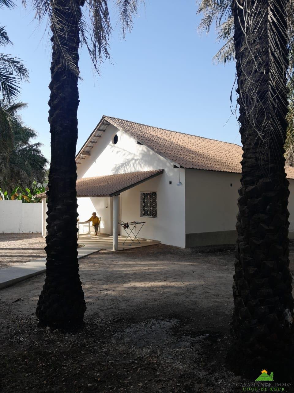 55bd5756-5add-462c-b59f-5750f484517f (1)