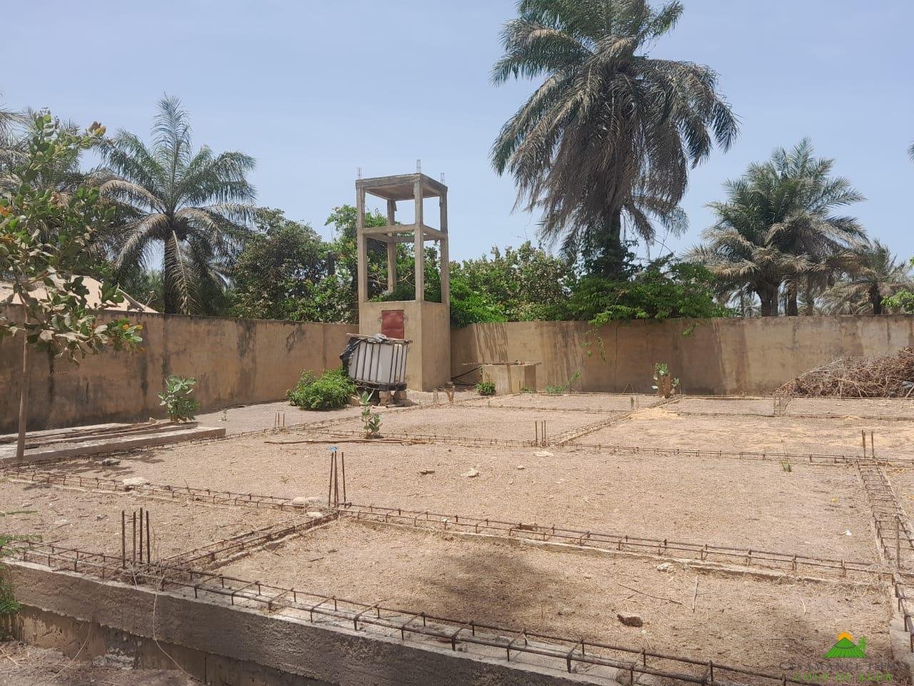 WhatsApp Image 2024-05-22 à 19.15.50_cea8ebea