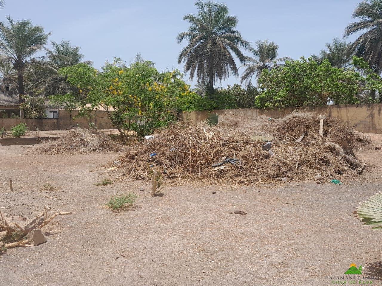 WhatsApp Image 2024-05-22 à 19.15.51_011e8c6a