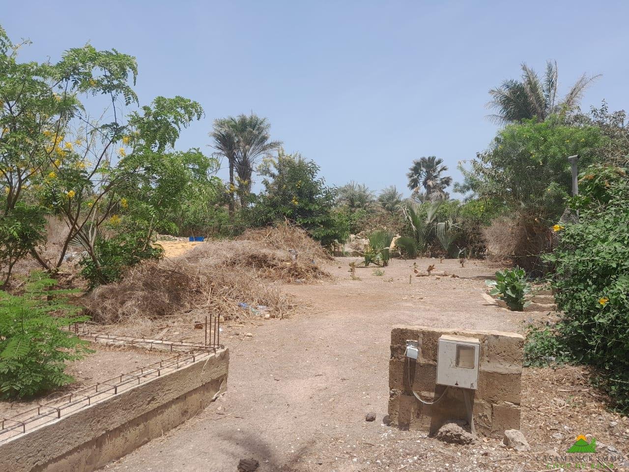 WhatsApp Image 2024-05-22 à 19.15.51_42fc3913