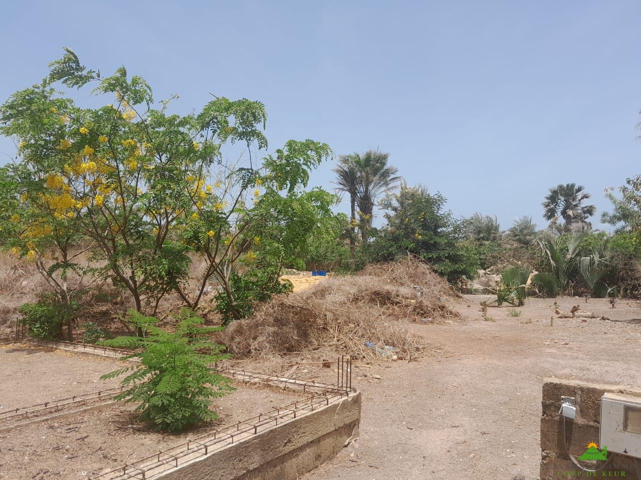 WhatsApp Image 2024-05-22 à 19.15.52_915af448