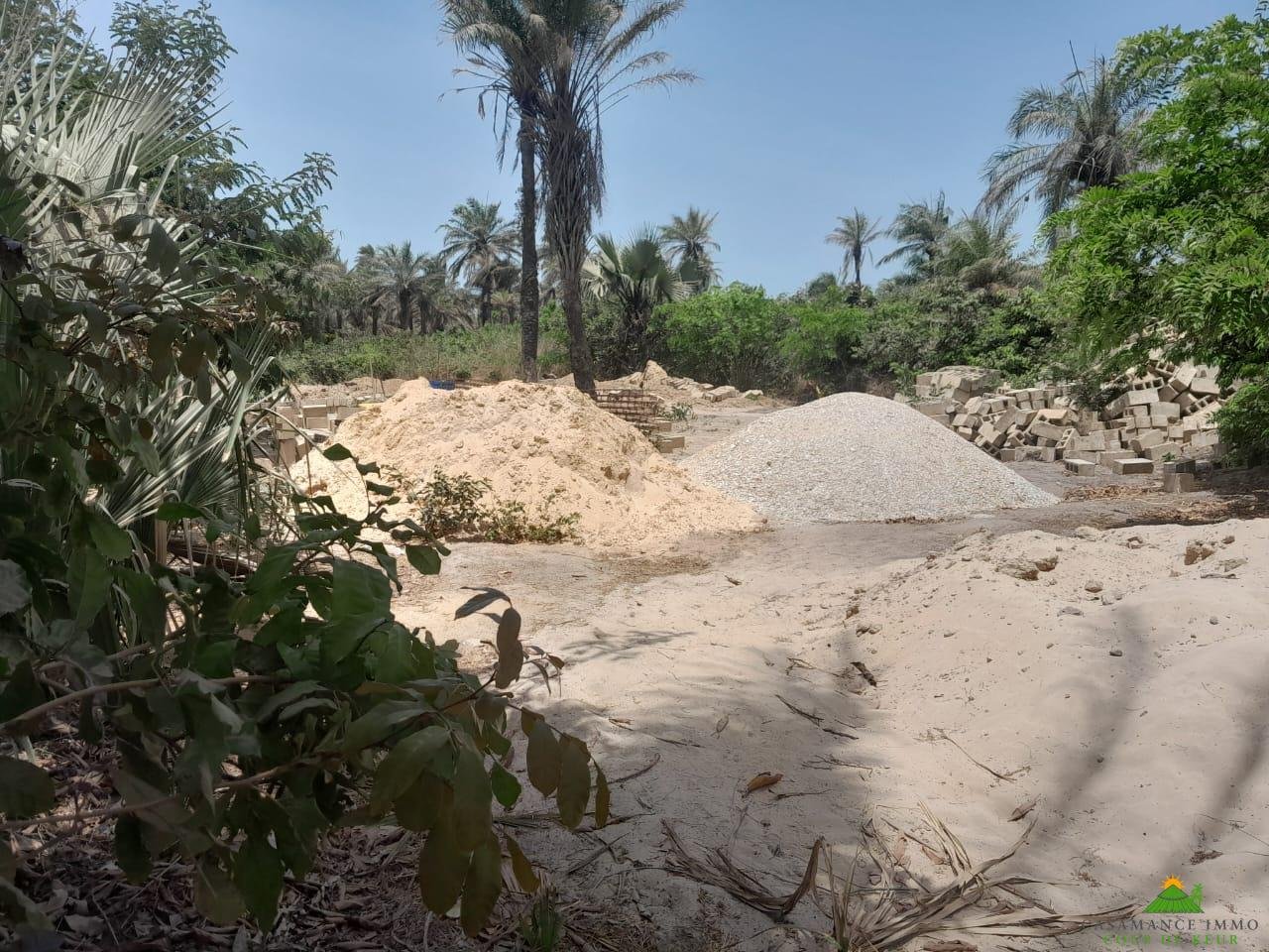 WhatsApp Image 2024-05-22 à 19.15.53_a6e38ac2