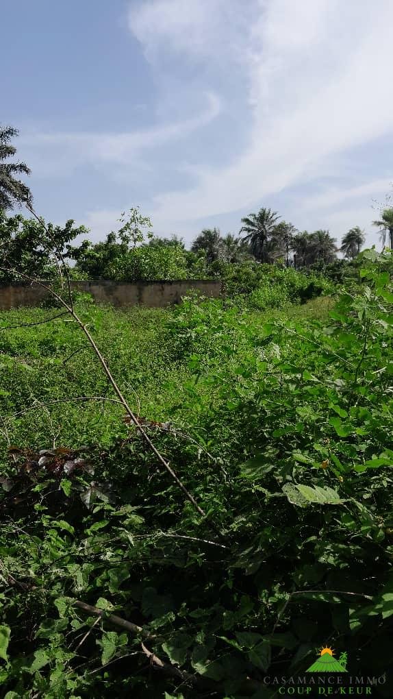 0f93ac2b-39dd-478c-9068-381624bfc8f5