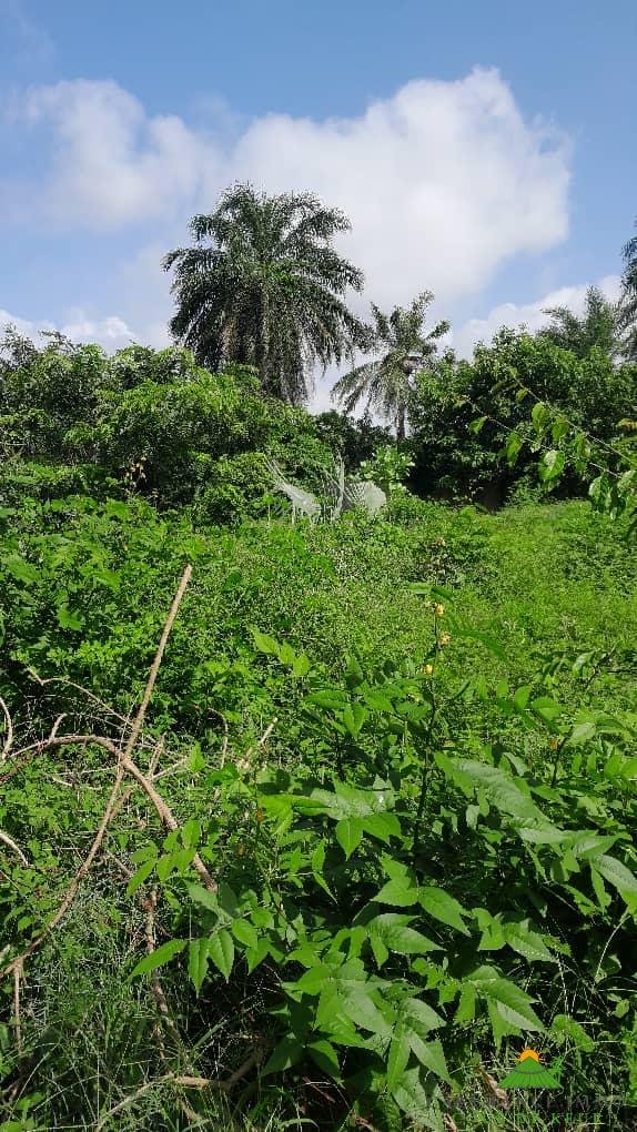 31593aab-8506-40bc-b90c-764a5751d5ae