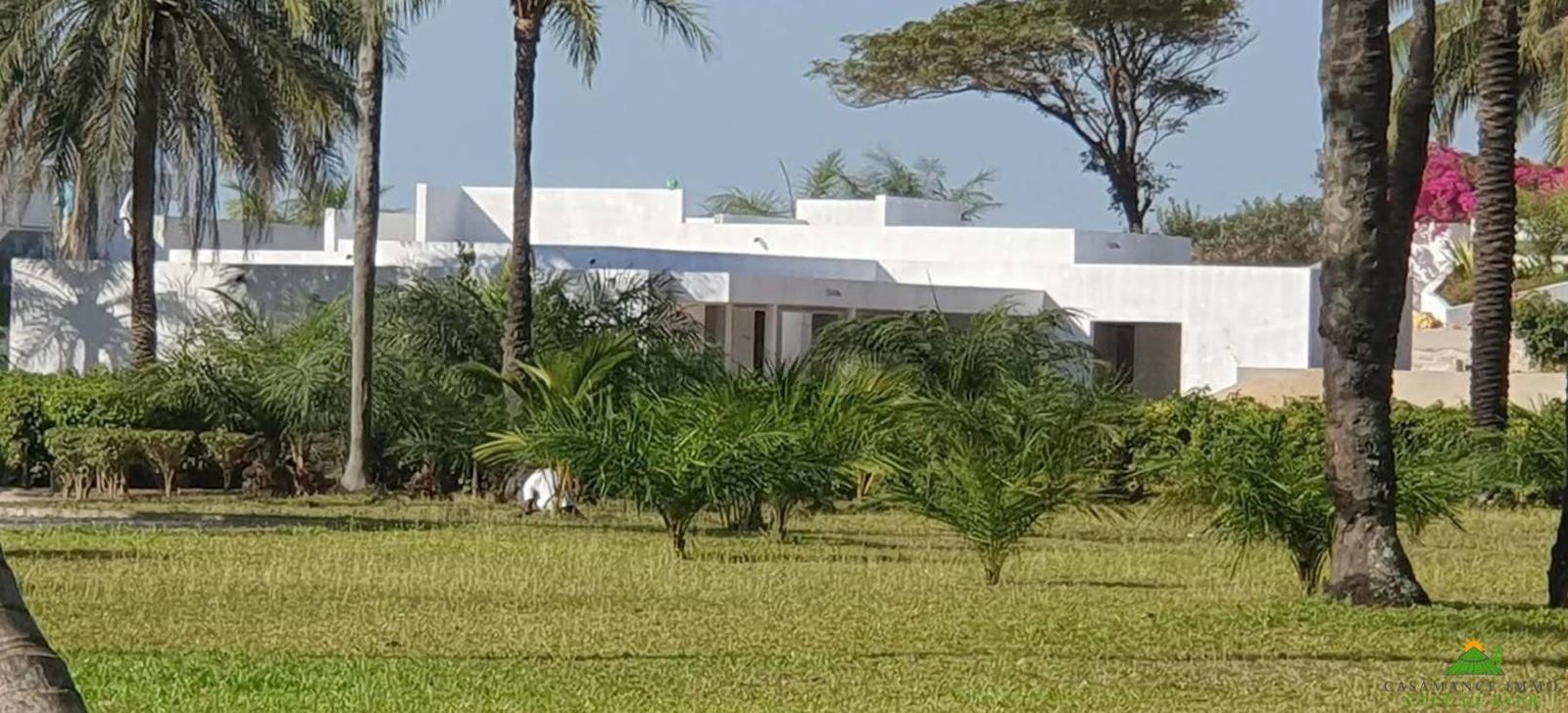 Lot 14 Vue Générale