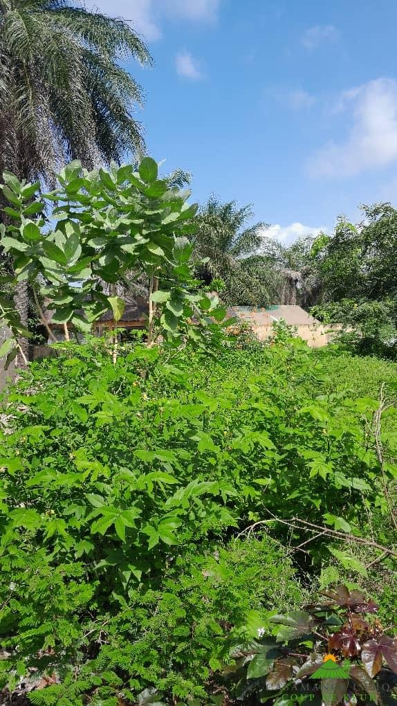 e69d0b2a-3f7a-42d8-ac33-9858b2c0d863