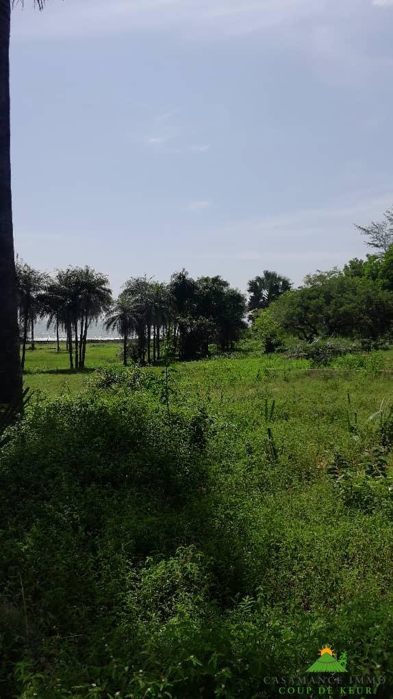 288a9fcd-9e48-40b5-8bda-6e65fe1bda95