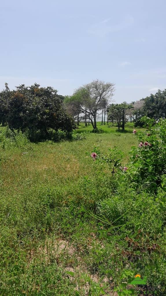 5588552c-6435-43e7-b0b1-077bd6dc90f6