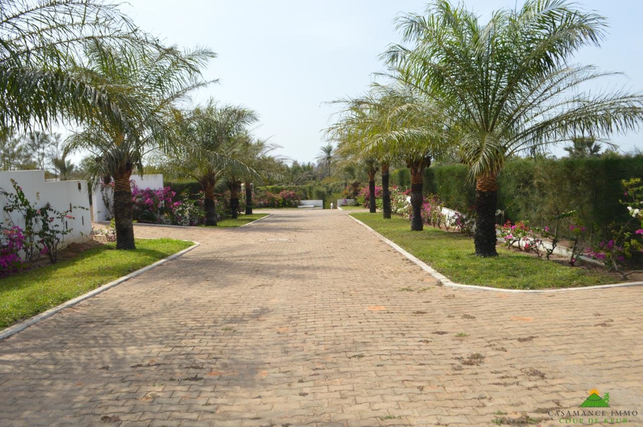 WhatsApp Image 2024-09-06 à 15.53.24_909064fc