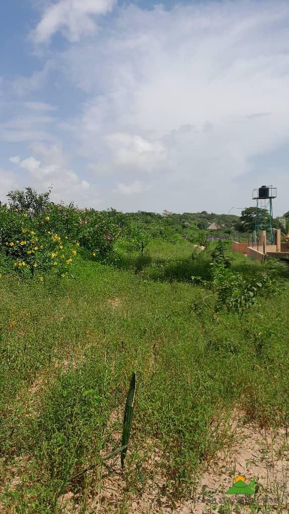 bc8763e5-e8c9-4dd7-8f1d-c7d64372da7f