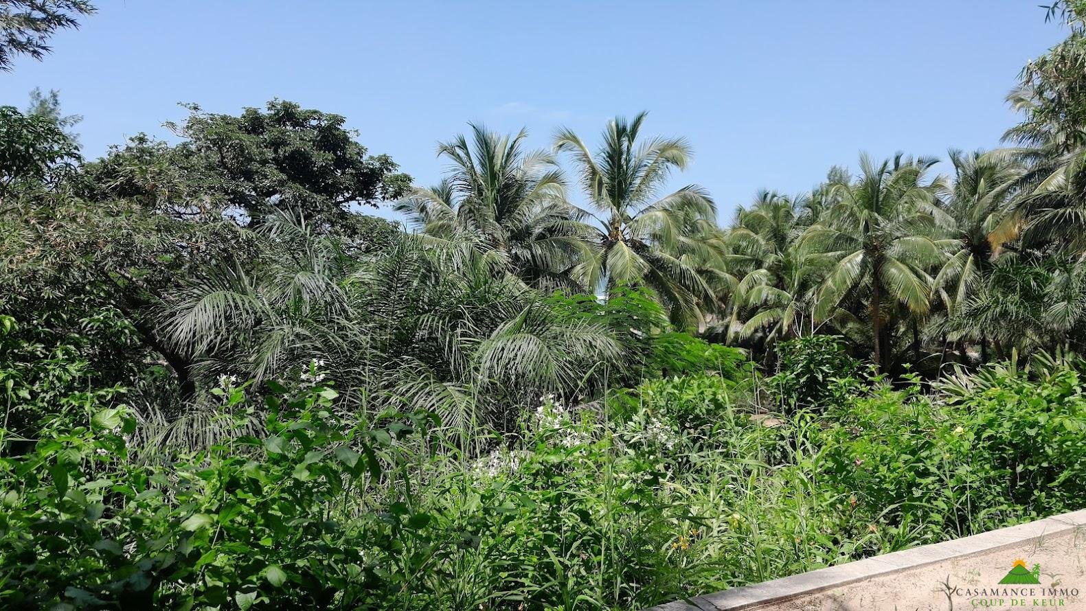 20241001_121310 – Copie