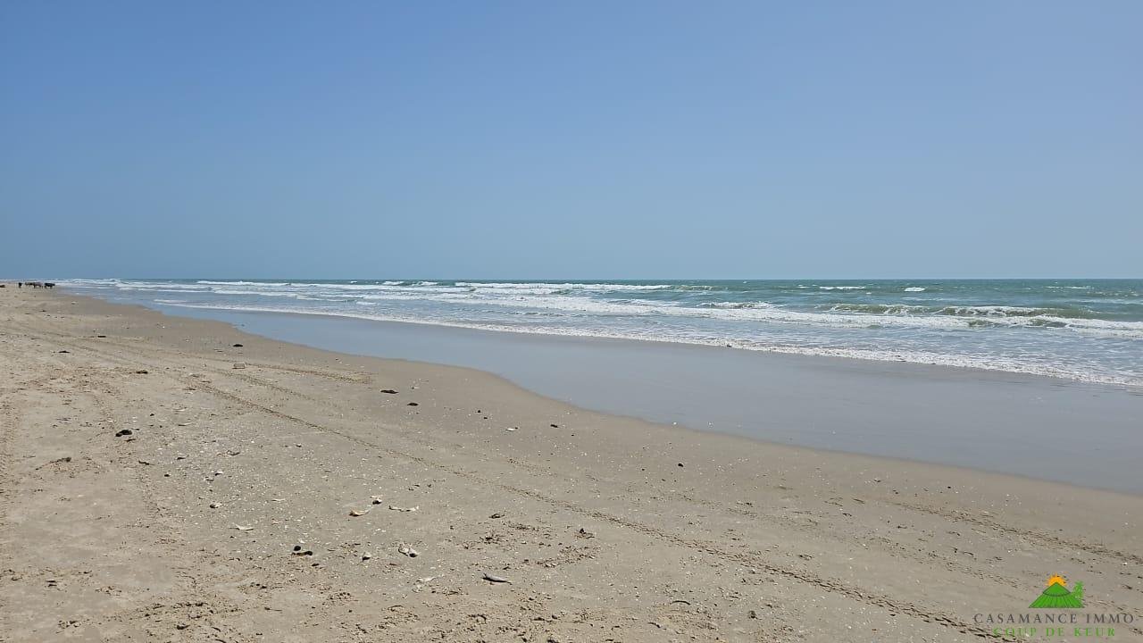 438fd0cf-14ff-4bfa-b86e-41702ef99bb1