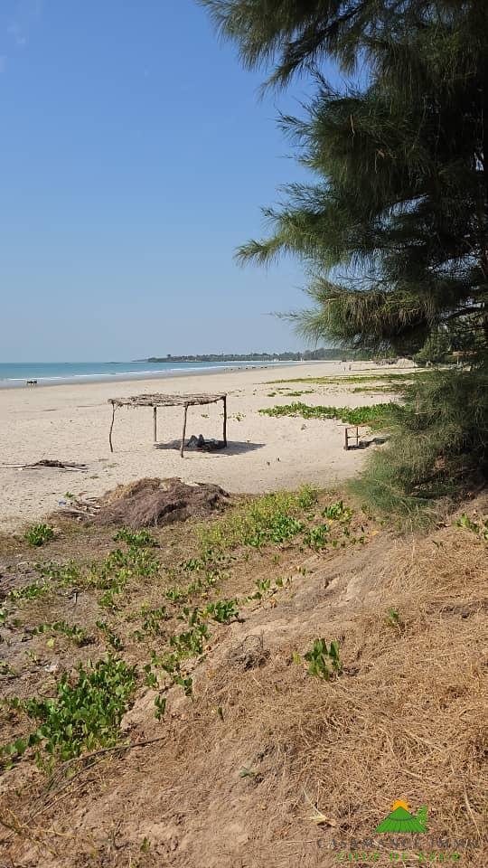 4da1d3e0-f2bf-4aa8-8ac6-c3e6c9f04f44