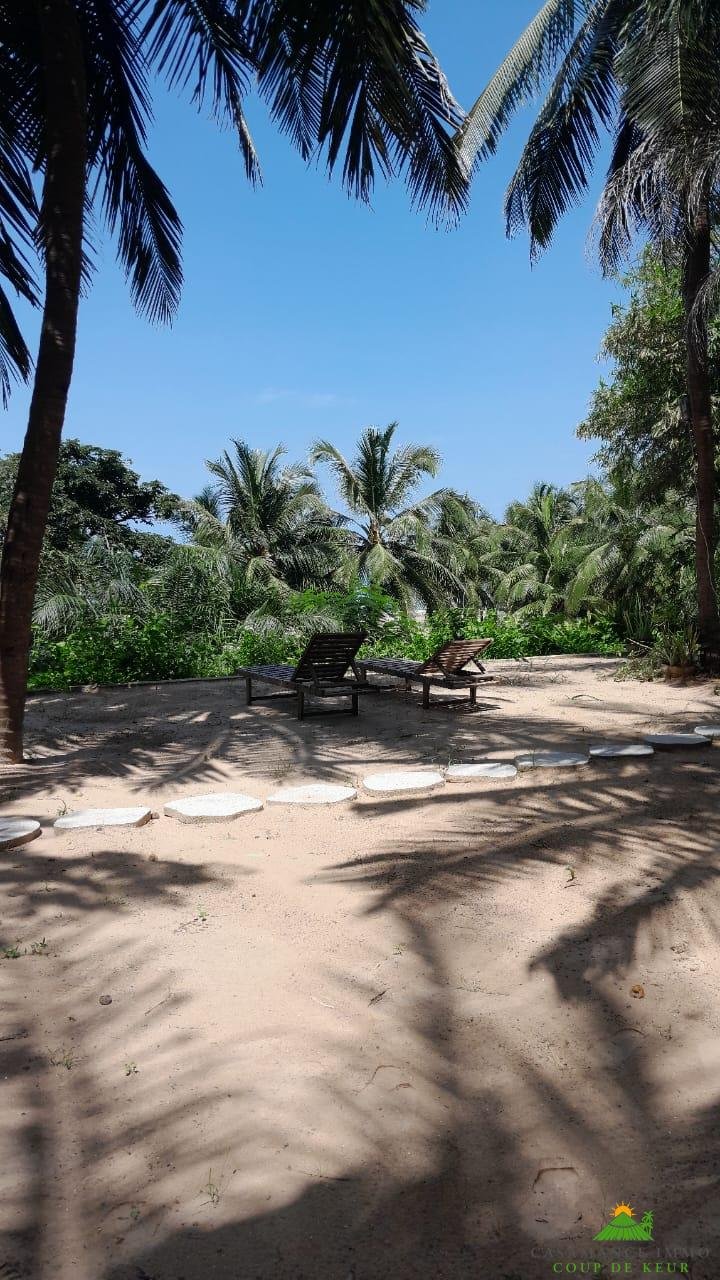 WhatsApp Image 2024-10-01 à 19.50.22_8cd8fa47