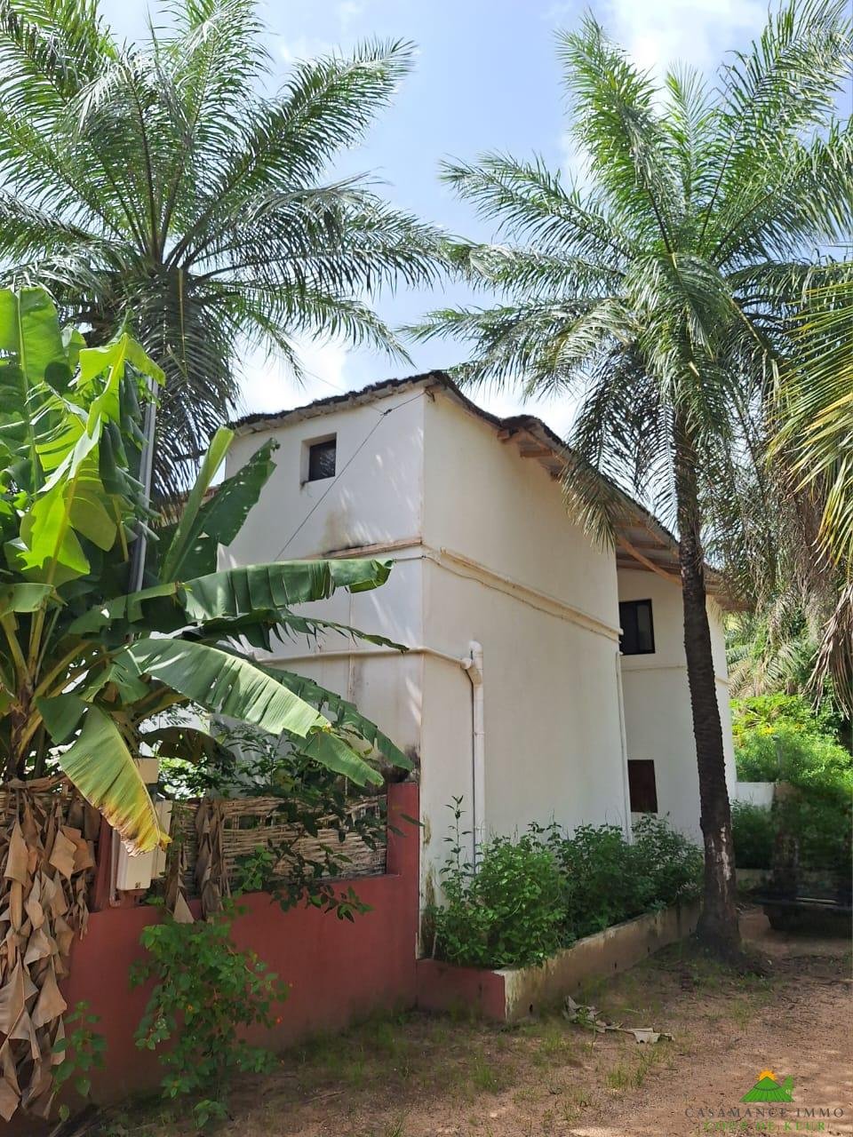 WhatsApp Image 2024-10-22 à 17.14.38_85fdd41e