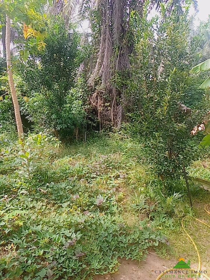 ae9c7e4f-cb23-45be-ab22-c49206da94dd