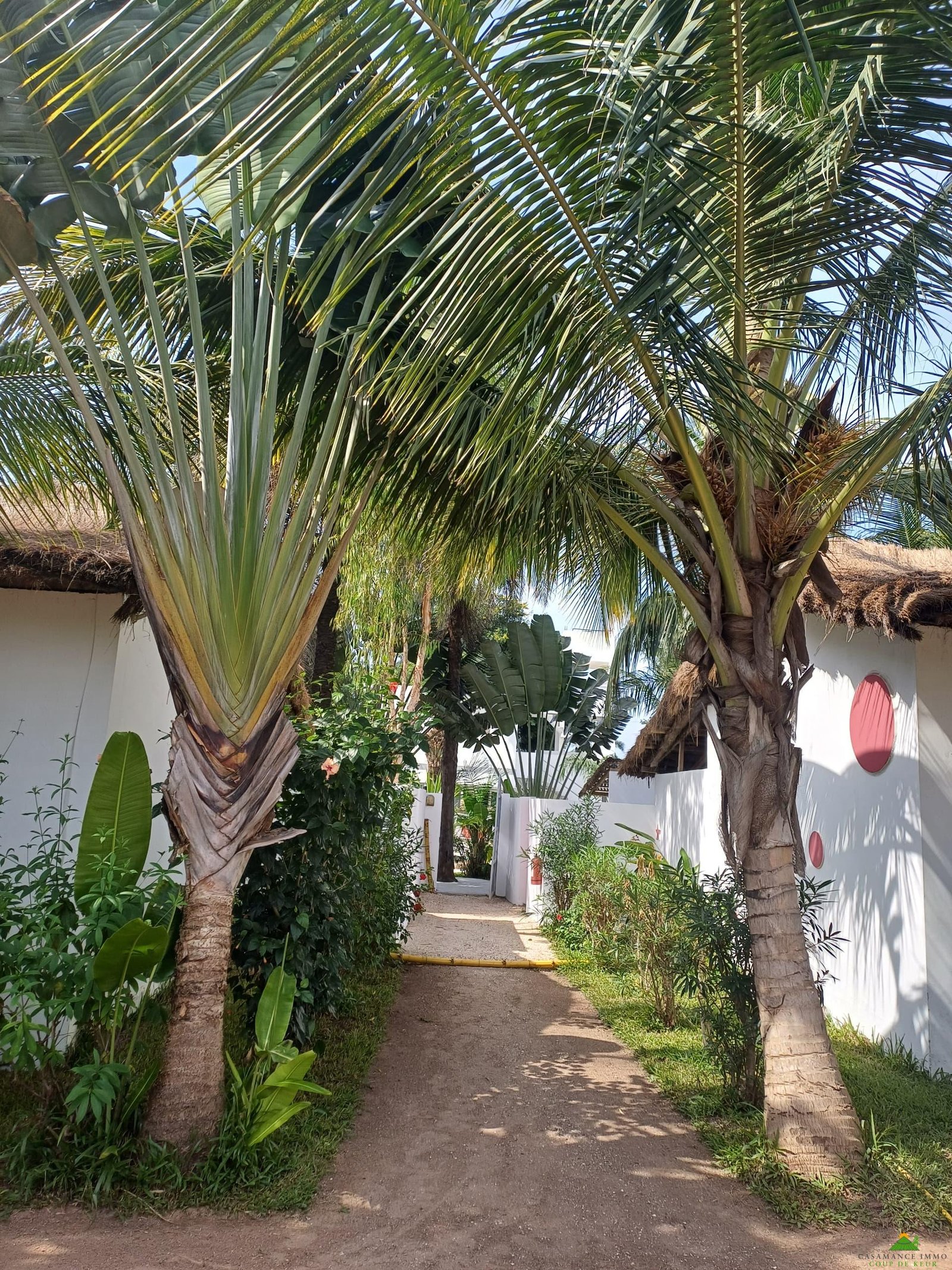 04b1c245-6689-437b-a01c-3f49aed4b1d4 Une résidence de vacances de charme avec sa piscine lagon dans un jardin tropical luxuriant.