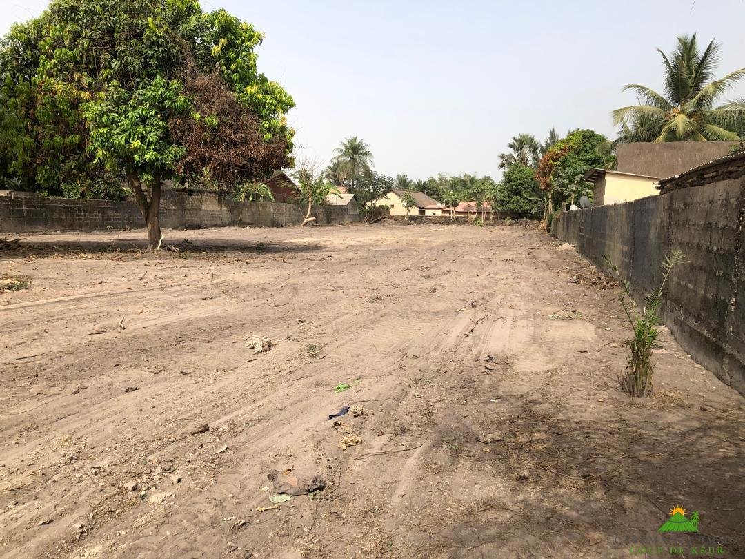 09182f41-4b25-435d-80fc-d0b21625ff9a