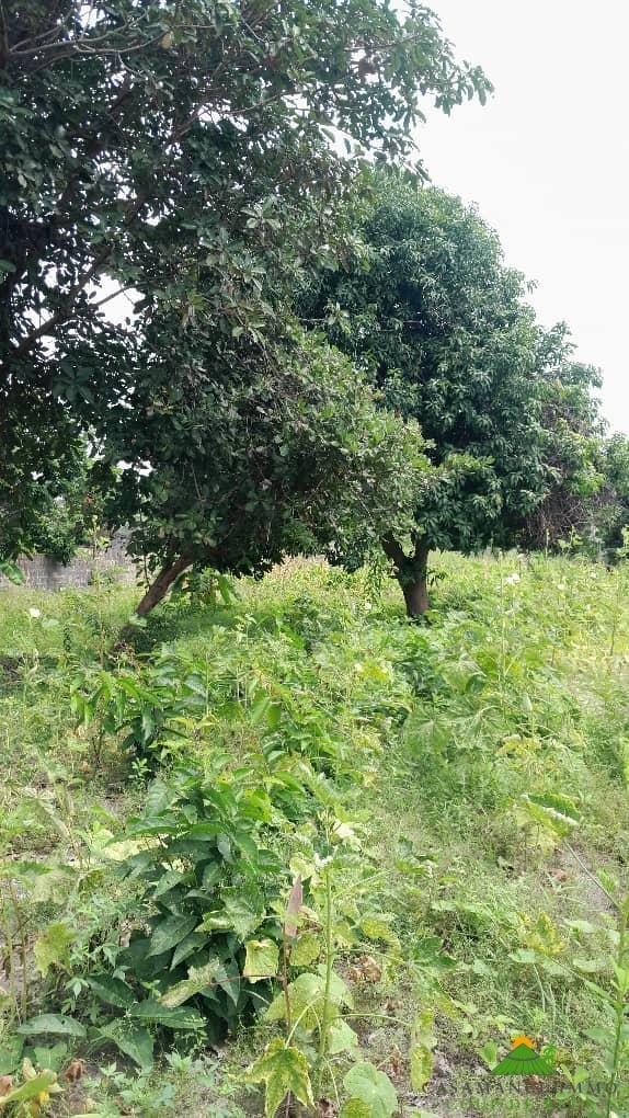 8f9406e4-baab-4bbc-ad48-70f440290357