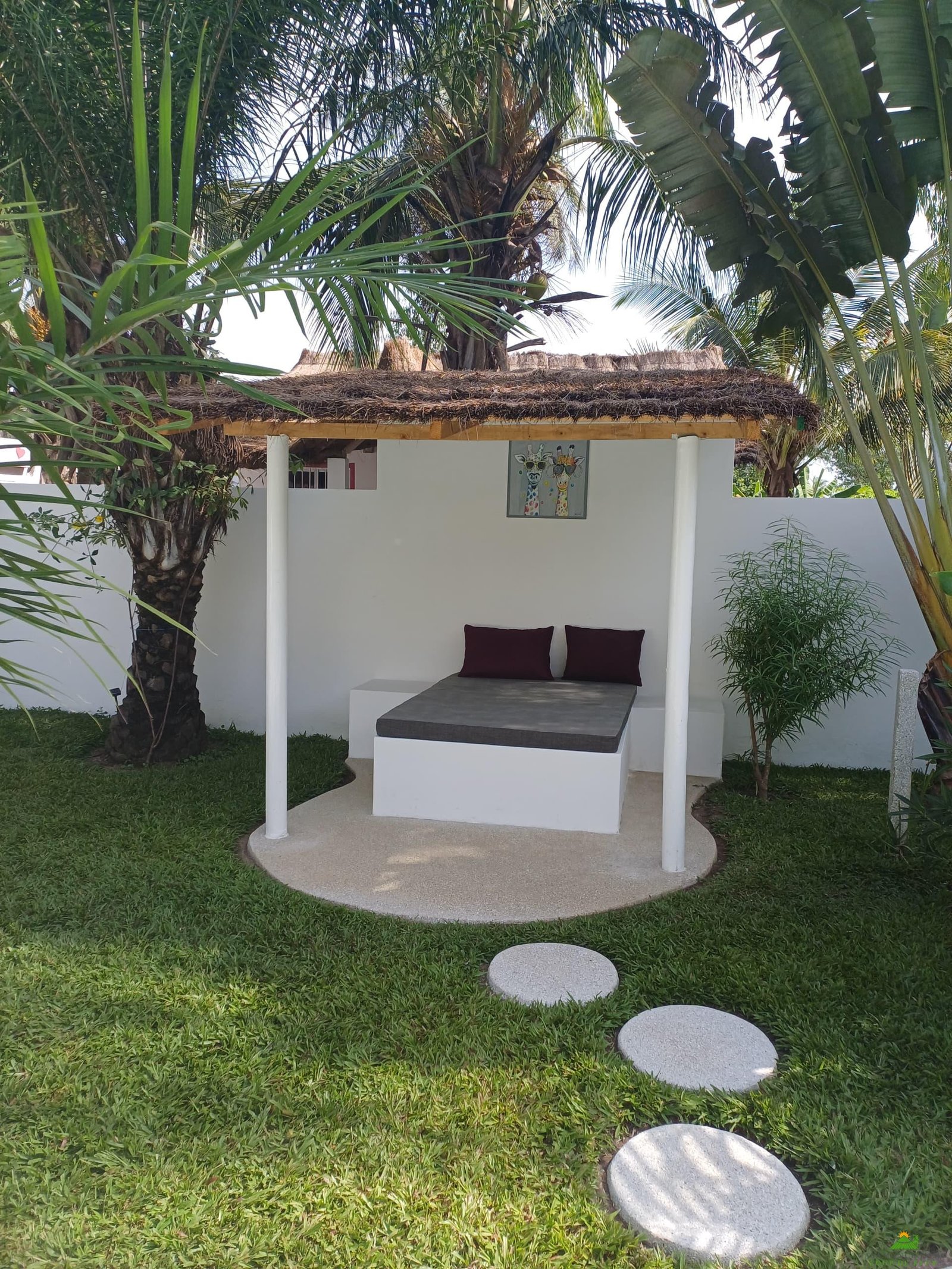 WhatsApp Image 2024-11-19 à 10.45.39_804ea4cf Une résidence de vacances de charme avec sa piscine lagon dans un jardin tropical luxuriant.