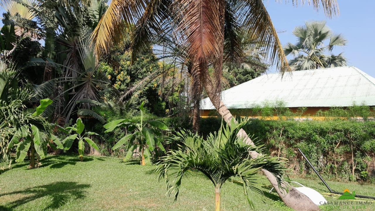 WhatsApp Image 2024-11-27 à 12.30.27_41748d15