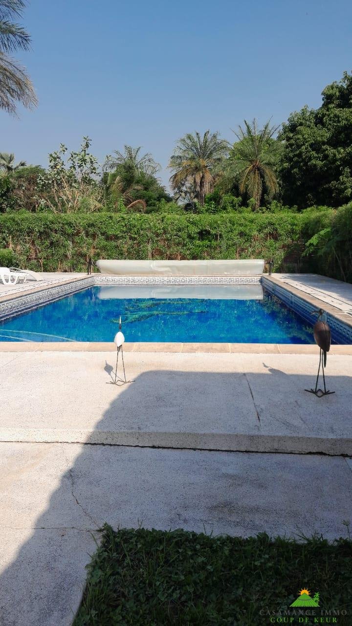 WhatsApp Image 2024-11-27 à 12.30.28_a8ad0e01