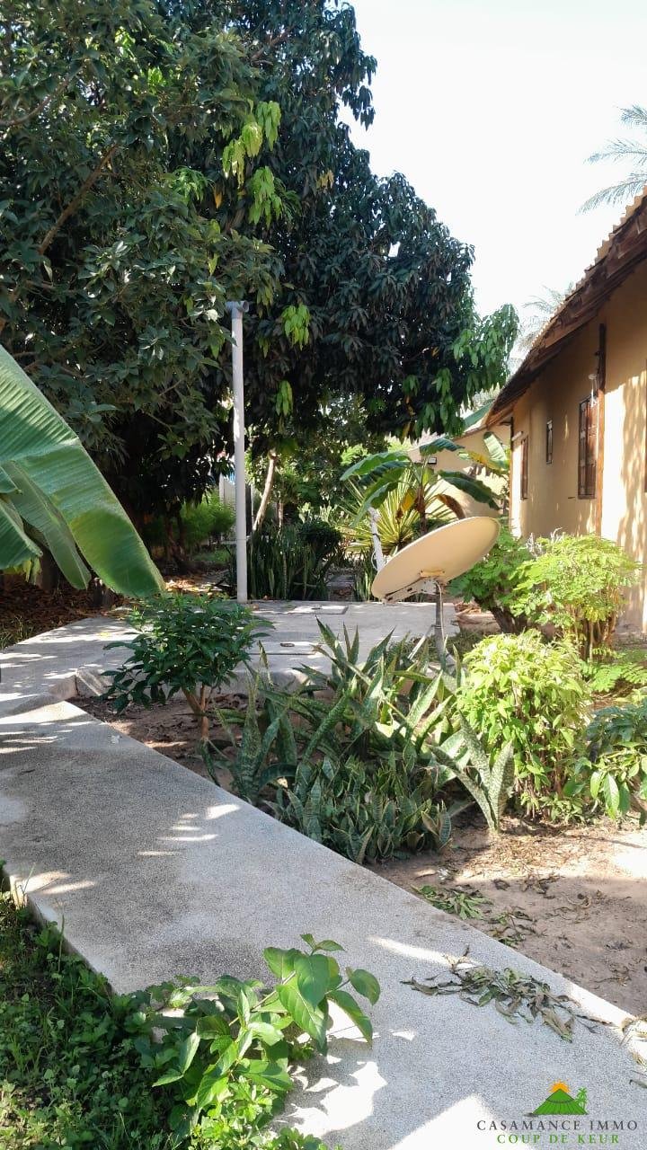 WhatsApp Image 2024-11-28 à 09.15.53_b21f2926