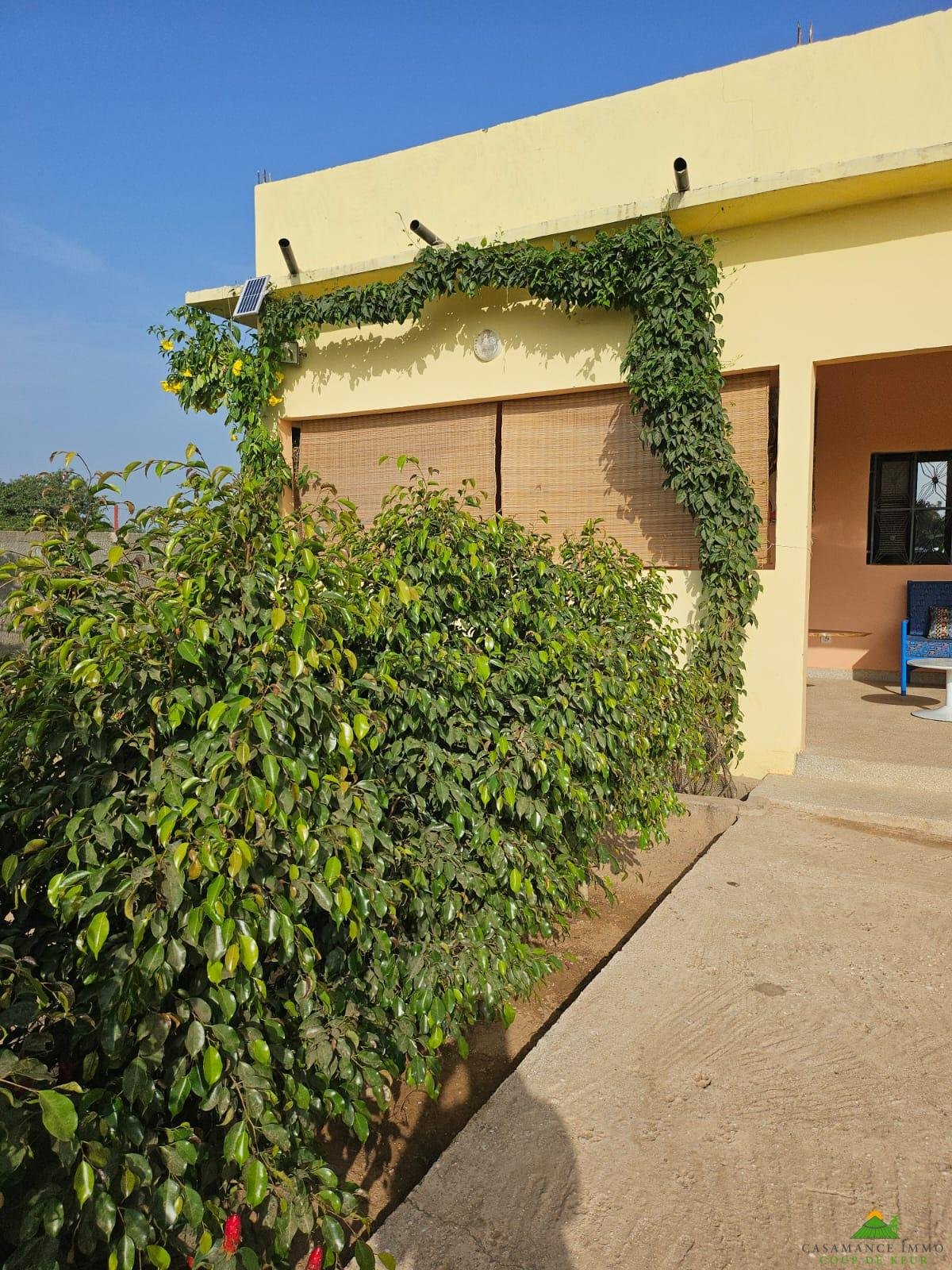 3c8605c4-0625-4a2f-bffd-23e83c4e04f5