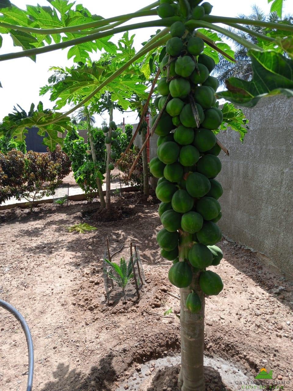 4ea8a0de-83cd-4e6c-bf43-d29f38136480