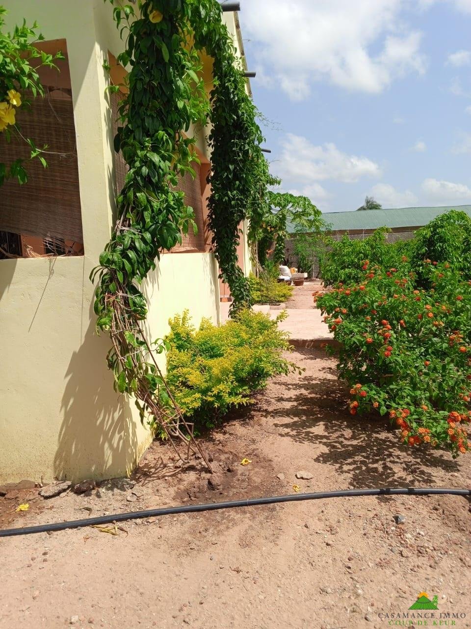 8ec354d5-48b6-4076-98ff-d123361b05fc