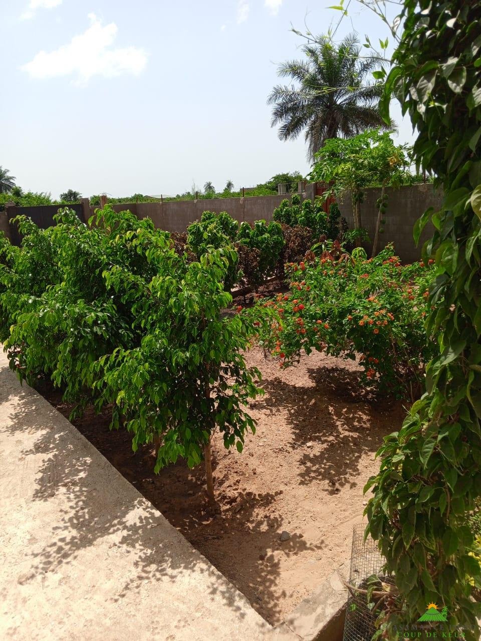 9998dd97-896f-4c15-9ad1-bdb722f61d7c