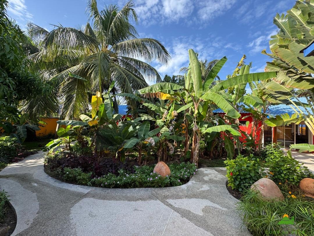 WhatsApp Image 2024-12-26 à 17.09.48_49201bfc