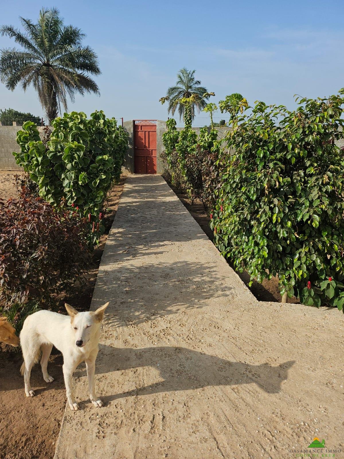 d455585a-9289-45df-b5d3-47db6c019e62